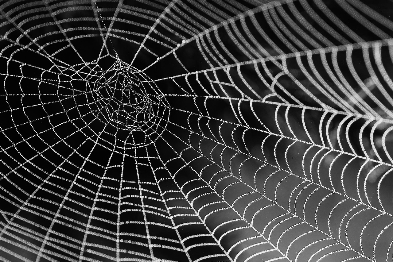 Design Systems 101: How Startups Ship Consistent Web Products — cover image